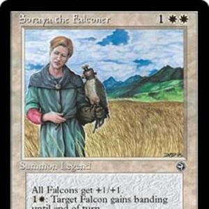 Meet your Posher, Jackson